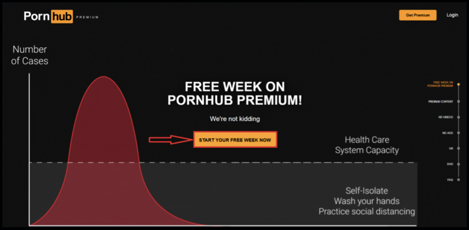 pornhub gay premium log in